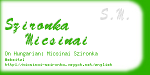 szironka micsinai business card